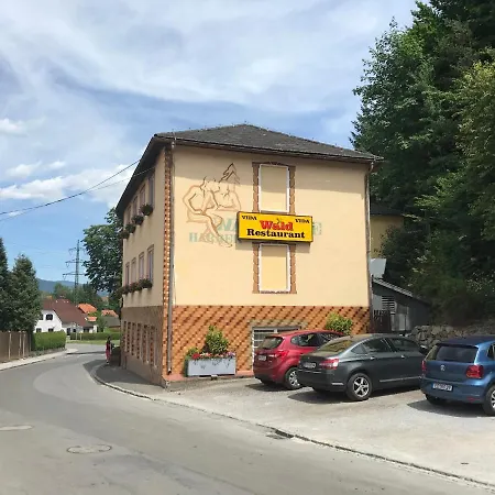 Hotel Waldrestaurant Vida Kapfenberg