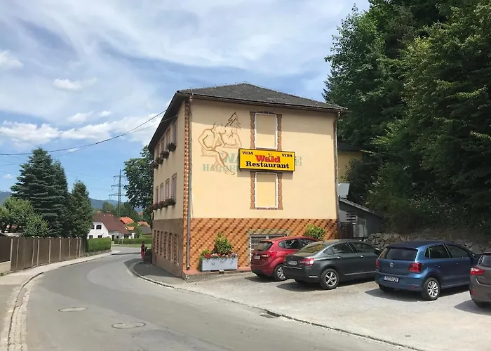 酒店 Waldrestaurant Vida 卡普芬贝格